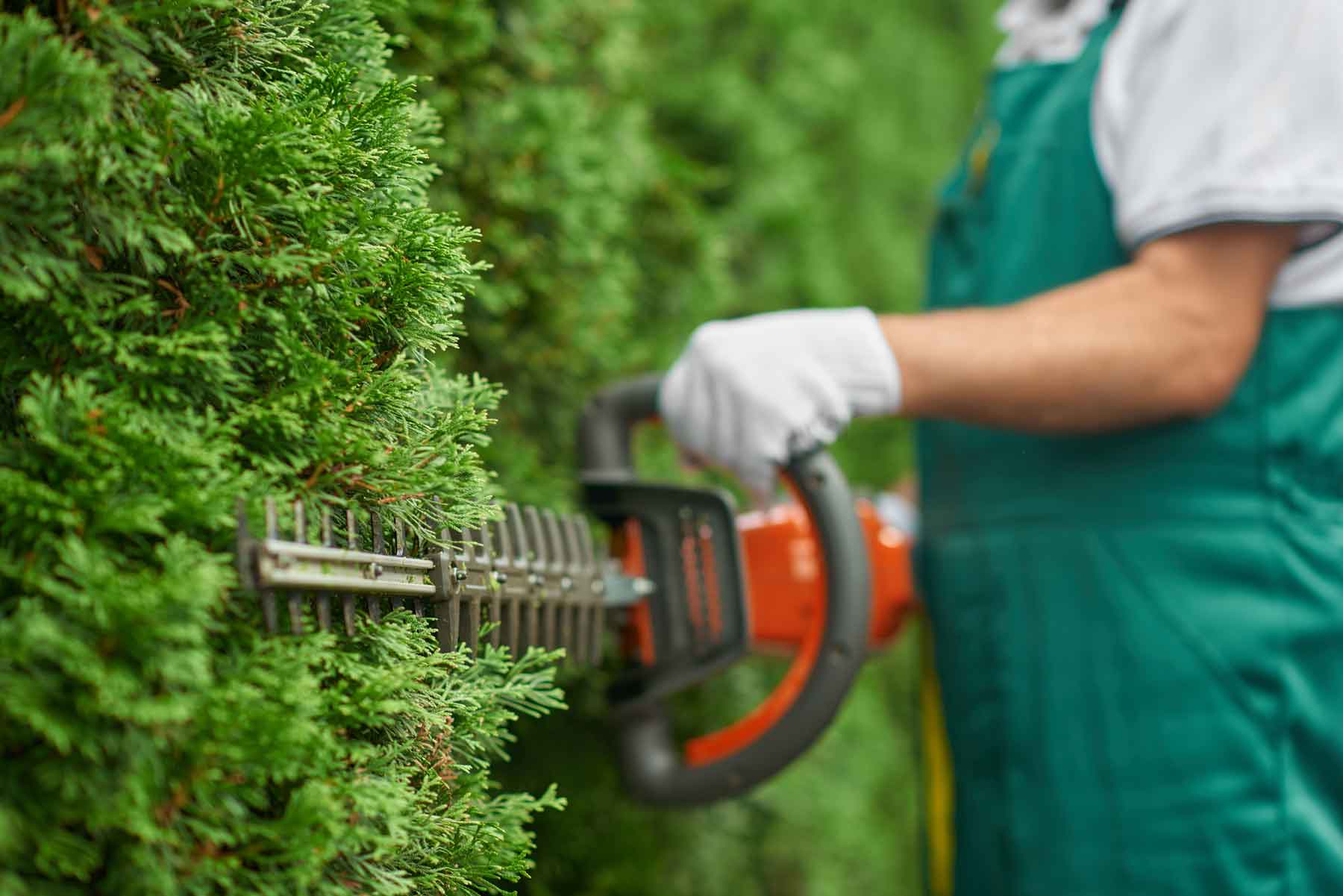 Gartengestaltung Gartenbau